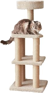 Amazon Basics Cat Tree Tower - Multi-Level Climbing Activity Center for Indoor Cats & 